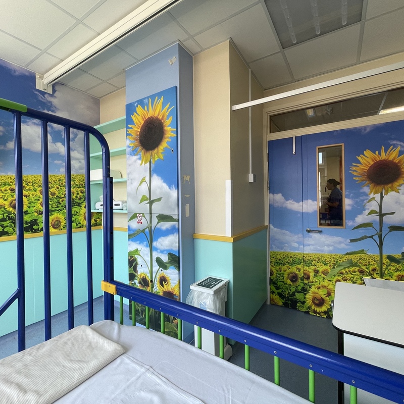 Cubicle 2, our Sunflower room, completed in 2024 with support from Tesco Community Grants and North Devon Councillor grants.